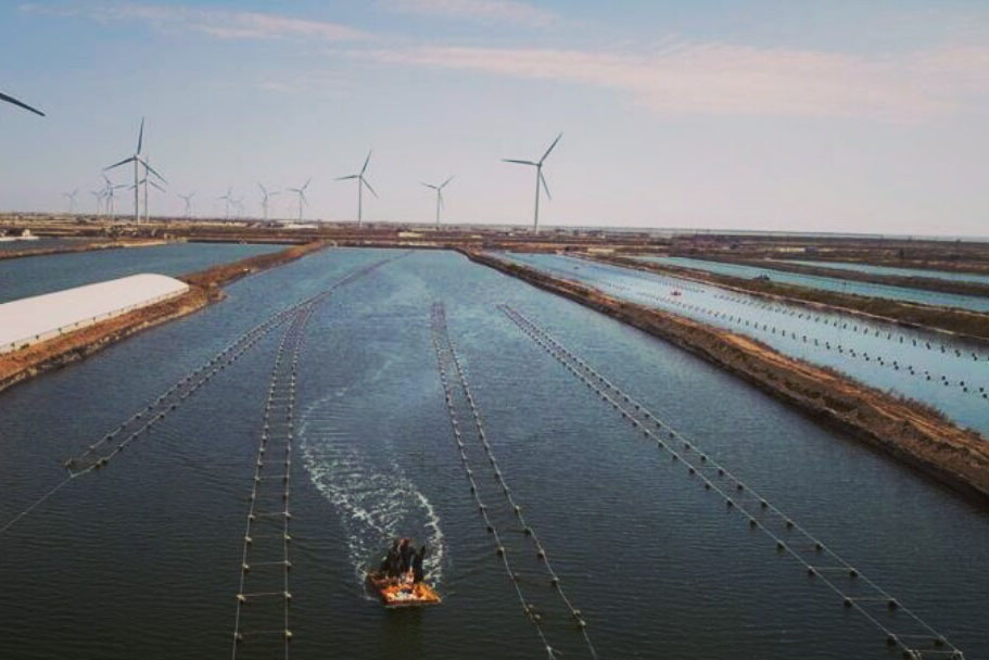 河北乐亭生态海参养殖基地